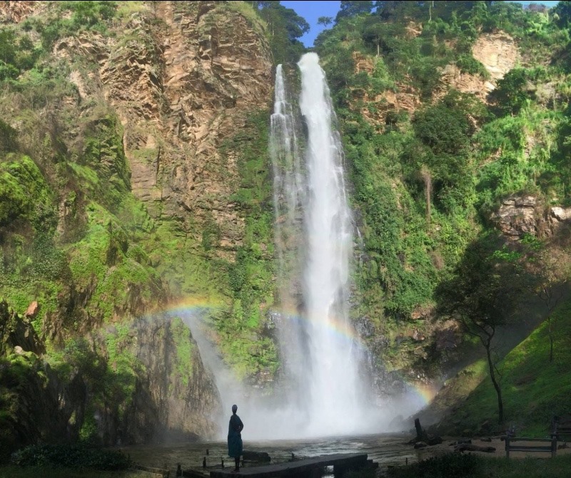 “Calling all Nature Lovers: Why Wli Waterfalls should be on Your Bucket List”