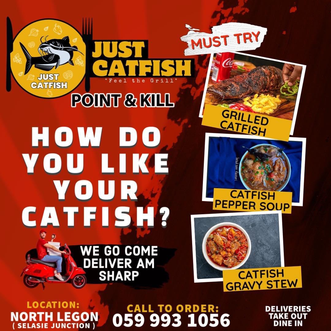 Just CatFish: Your Culinary Oasis for Fin-tastic Delights!