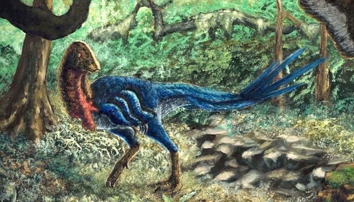 US researcher discovers dinosaur ‘chicken from hell’ after purchasing fossil online